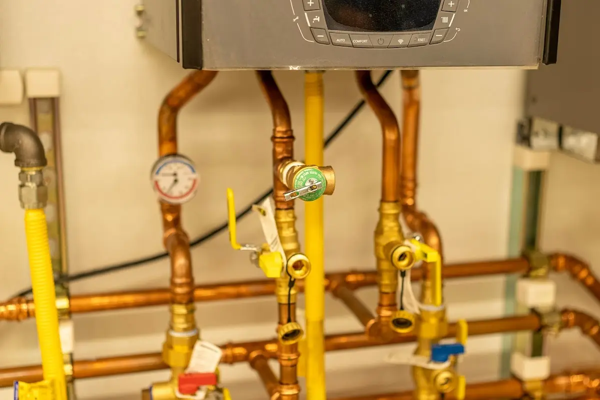 Licensed technician providing Sewer Cleanout for a homeowner in Carroll